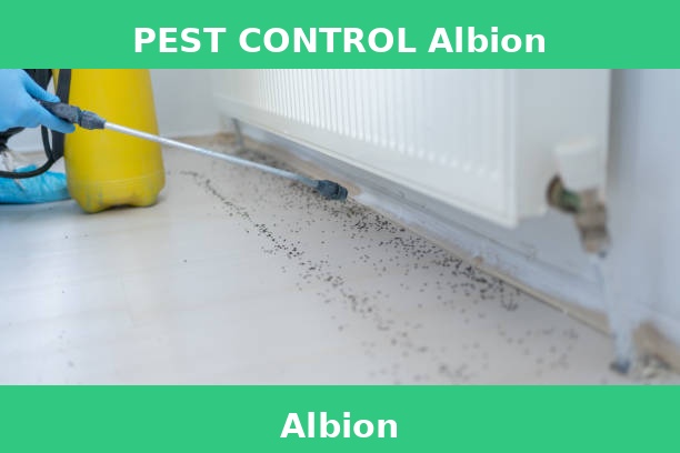 PEST CONTROL Albion